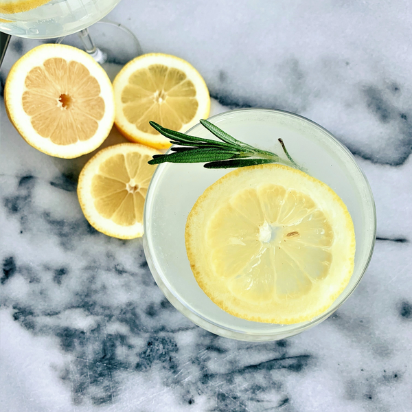Lemon Gin Spritz Cocktail